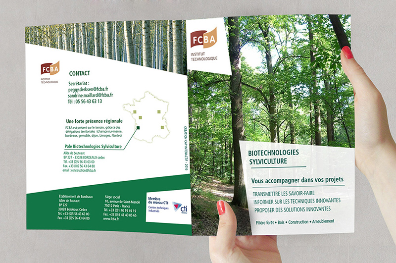 graphisme